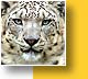 Zoo d'Asson