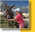 Transhumance-rando