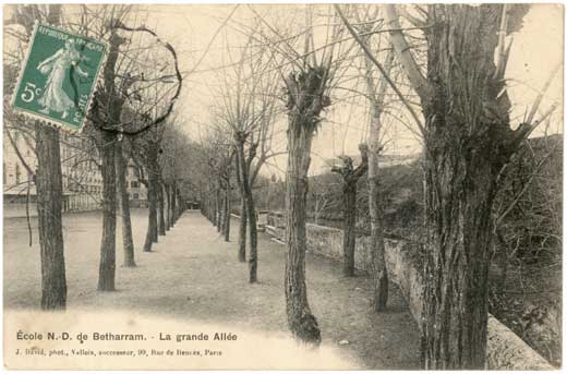 Lestelle Betharram - Cartes postales anciennes - Les &eacute;coles - La grande All&eacute;e